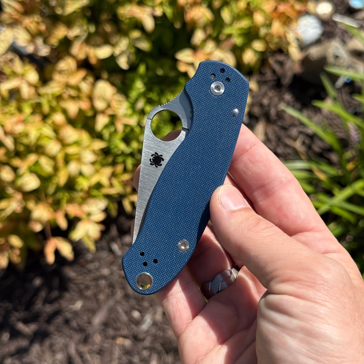 Para 3 Compress Lock Cobalt Blue Spy27