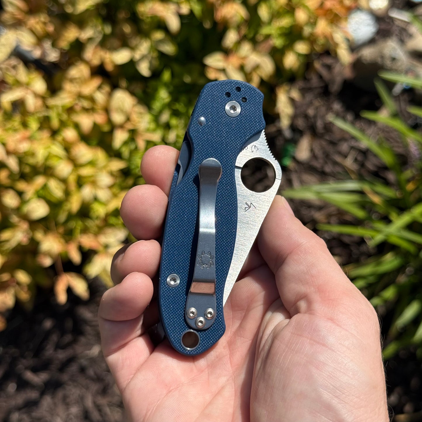 Para 3 Compress Lock Cobalt Blue Spy27