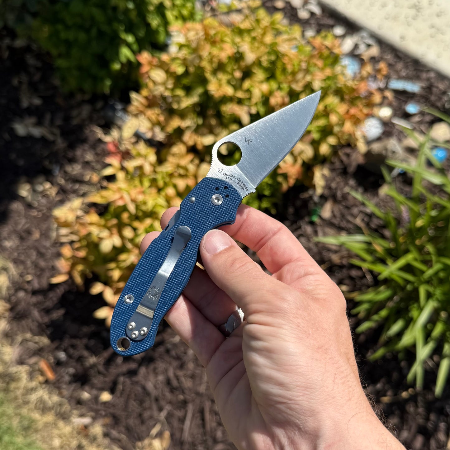 Para 3 Compress Lock Cobalt Blue Spy27