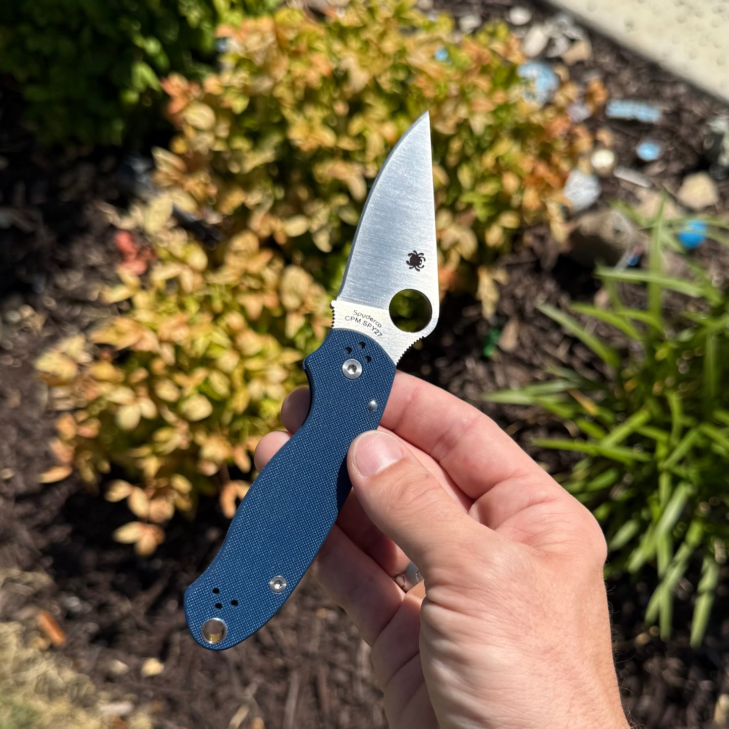 Para 3 Compress Lock Cobalt Blue Spy27